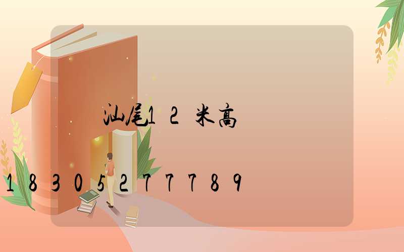 汕尾12米高桿燈